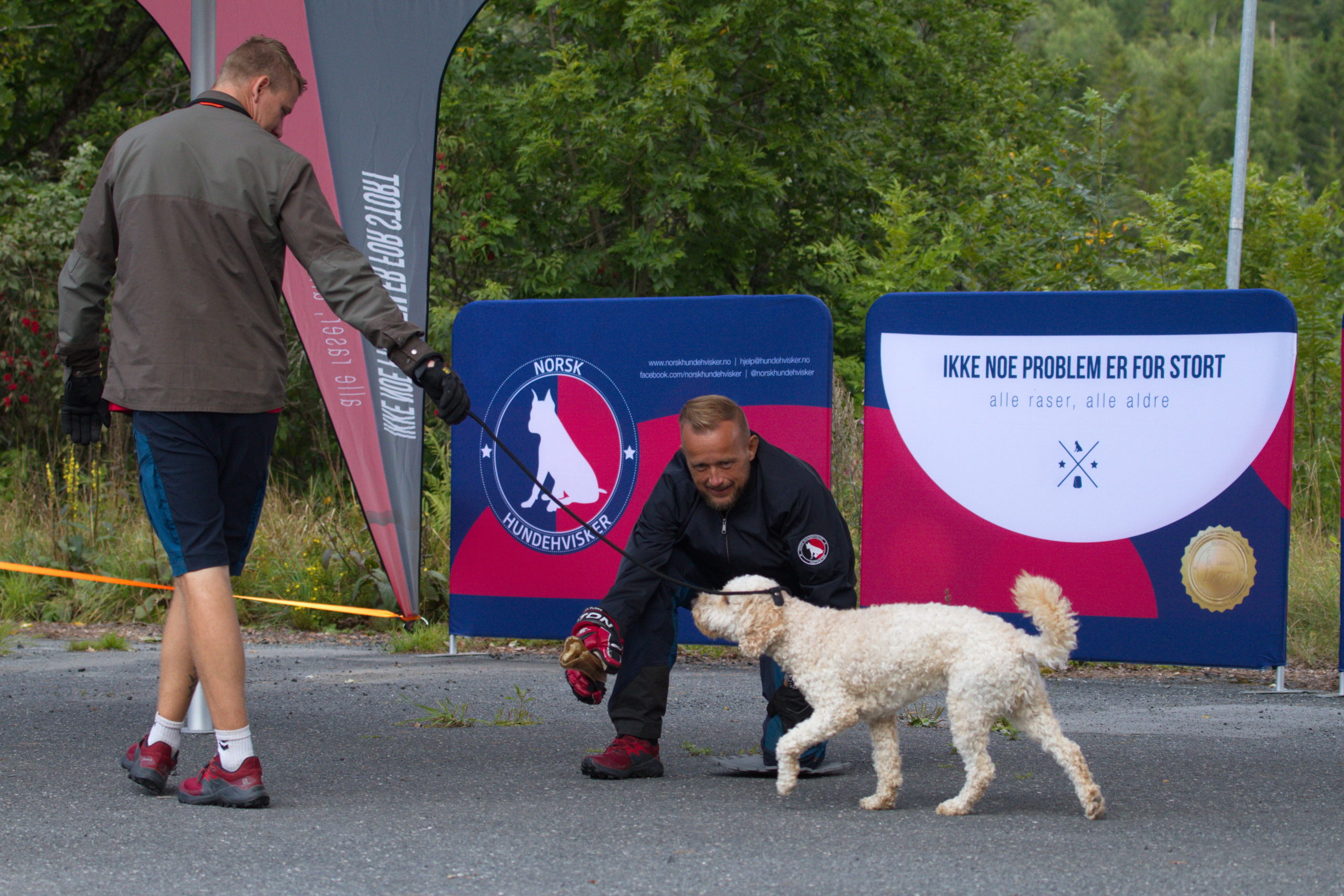 Instruktør trener med krøllete hund under kurs hos Norsk Hundehvisker – hunden fokuserer på leke i instruktørens hånd
