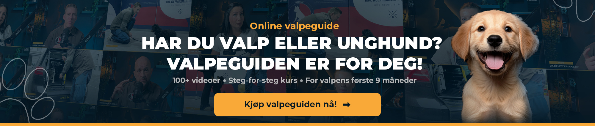 Reklamebanner for valpeguide med glad valp og tekst om online kurs for valper og unghunder