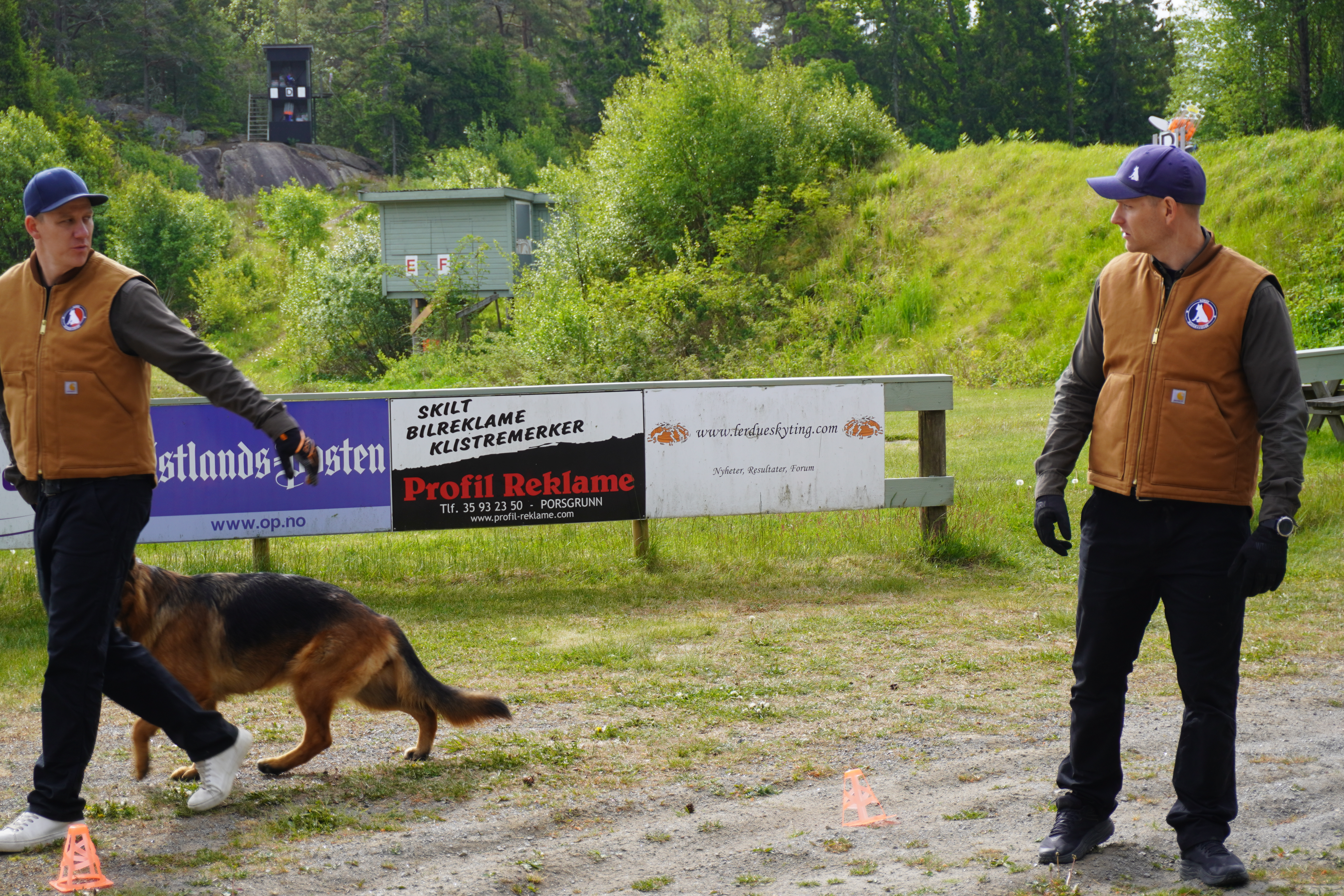 hundetrening schäferhund