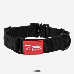 Noble Bound - Precision Lead Collar L